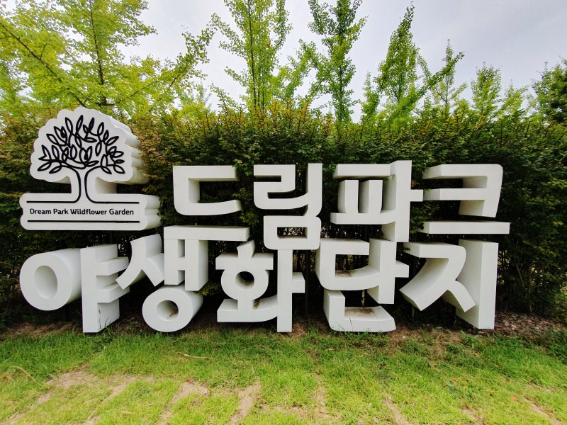 [인천드림파크야생화단지] 첫 방문 주차 입장료 코스 완벽 가이드