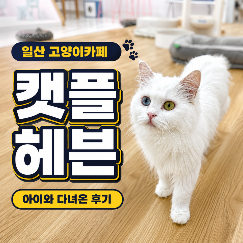 일산 고양이카페 캣플헤븐 탄현점, 아이와 가볼만한 곳