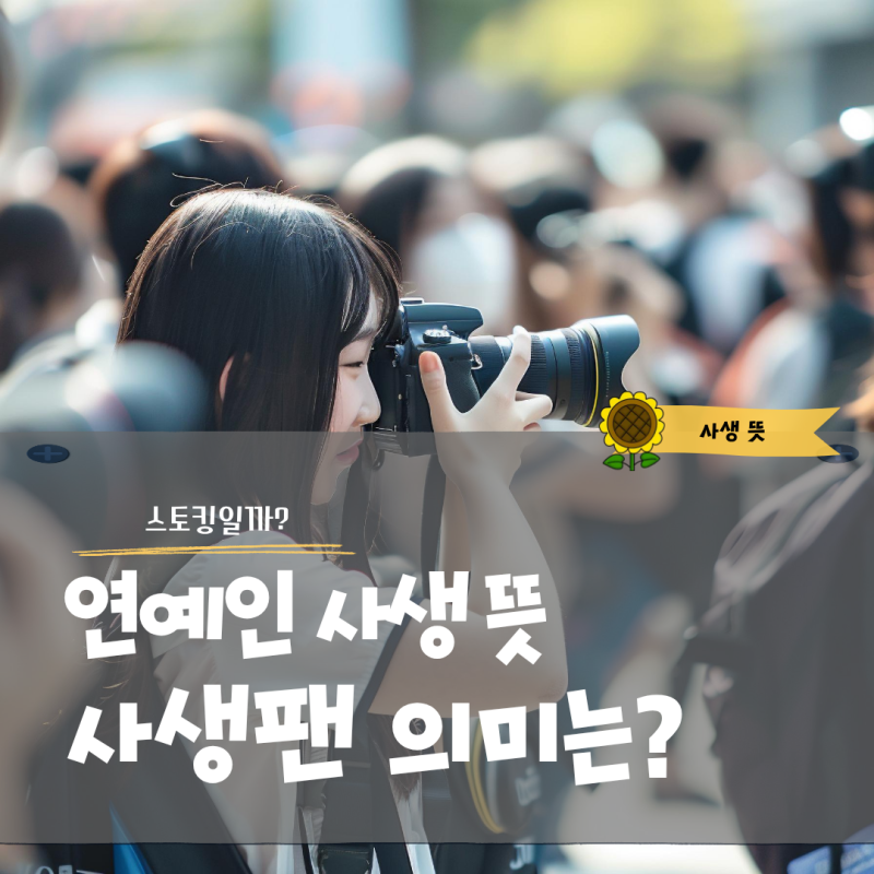 연예인 사생 뜻과 사생팬 의미 스토킹과 다른 점은
