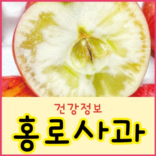 홍로사과 수확시기 아리수 비교 홍로사과 영양 효능 레시피 보관법