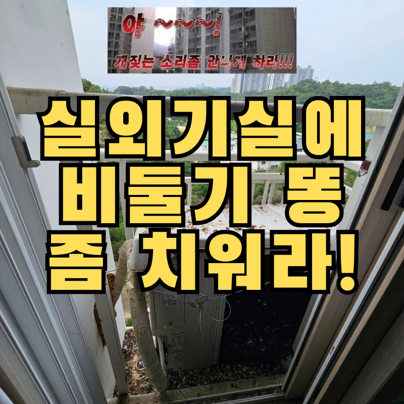 경산 비둘기 퇴치, 베란다 밖 실외기실 똥청소 후 방지망 시공 후기