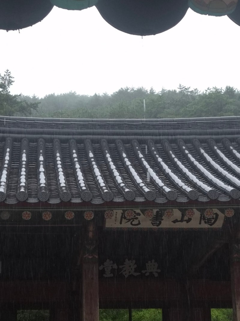 안동 가볼만한곳｜퇴계 이황의 도산서원, 안동 여행 여름휴가 후기
