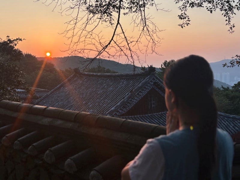 부산 선암사 템플스테이 후기 :: 도란도란 불멍 1박2일 휴식형