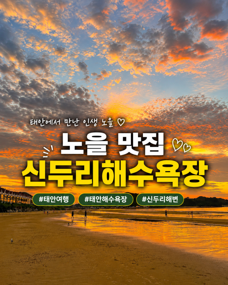 태안 신두리해수욕장 노을 명소｜서해안 일몰부터 물때·물놀이 후기까지