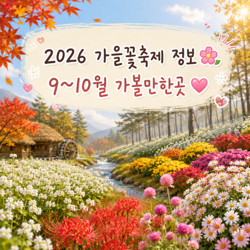 가을여행 어디로 갈까? 2026 가을꽃축제 추천 7곳