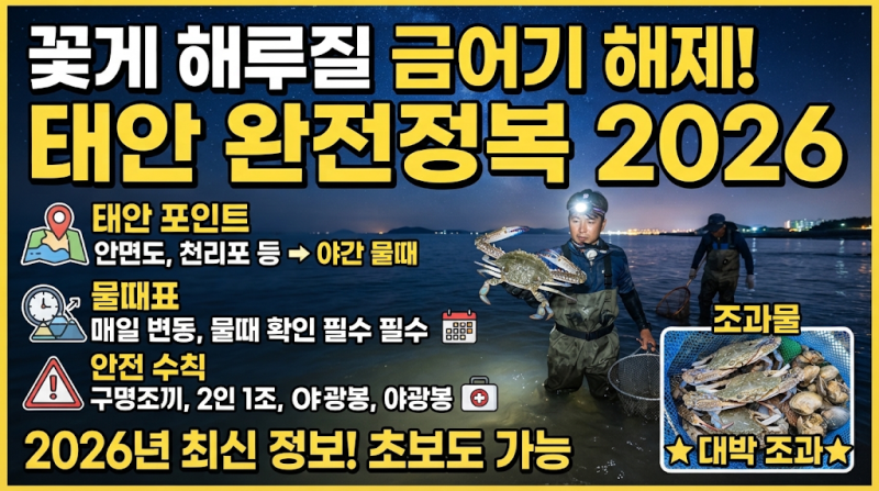 꽃게 해루질 금어기 해제, 태안 포인트·물때·안전수칙 총정리 2026