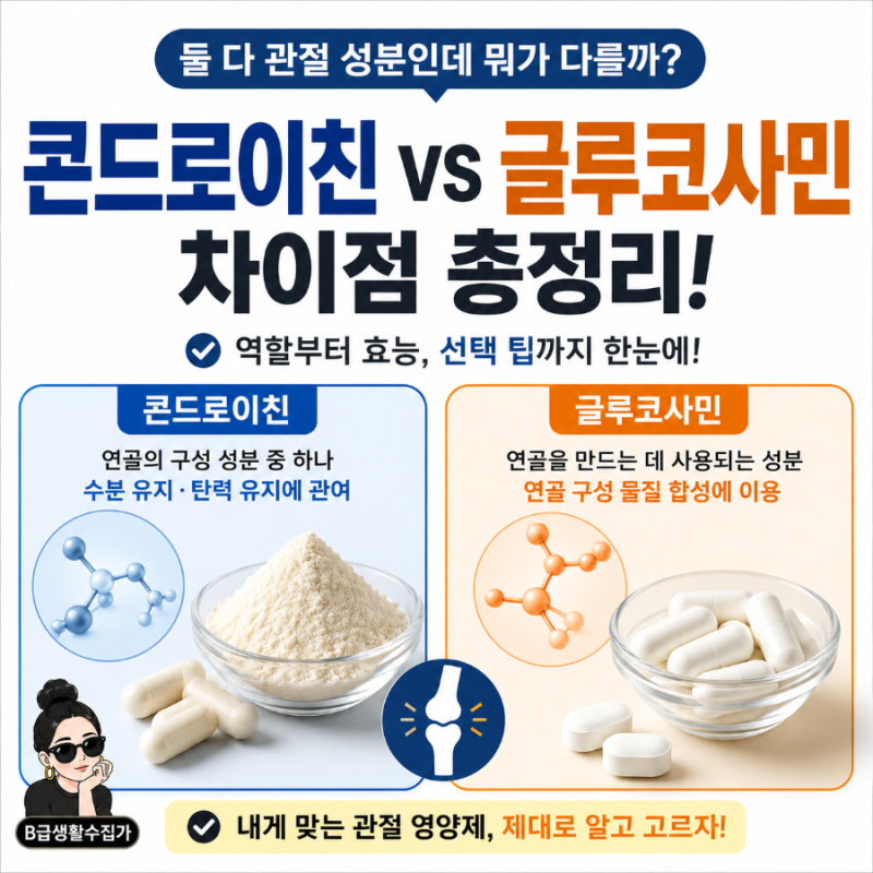 콘드로이친 글루코사민 차이, 둘 다 관절 성분인데 뭐가 다를까?