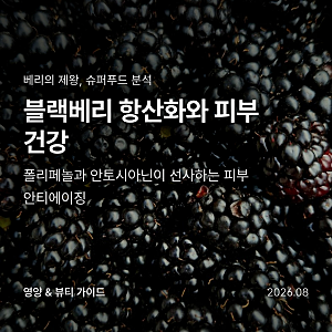 블랙베리 효능, 폴리페놀과 항산화가 피부 탄력 지키는 3가지 이유
