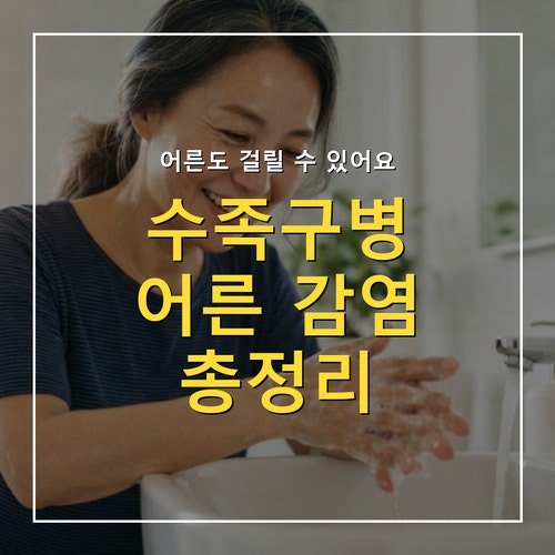 수족구병 어른 감염, 증상·격리·회복 기간 한 번에 정리