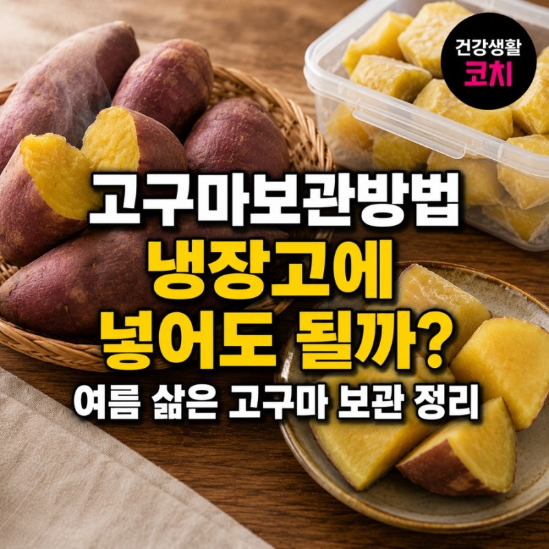 “고구마보관방법 냉장고에 넣어도 될까?”여름 삶은 고구마 보관 정리