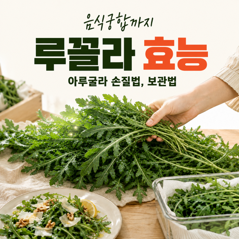 루꼴라 효능, 고르는법 손질보관 부작용 총정리
