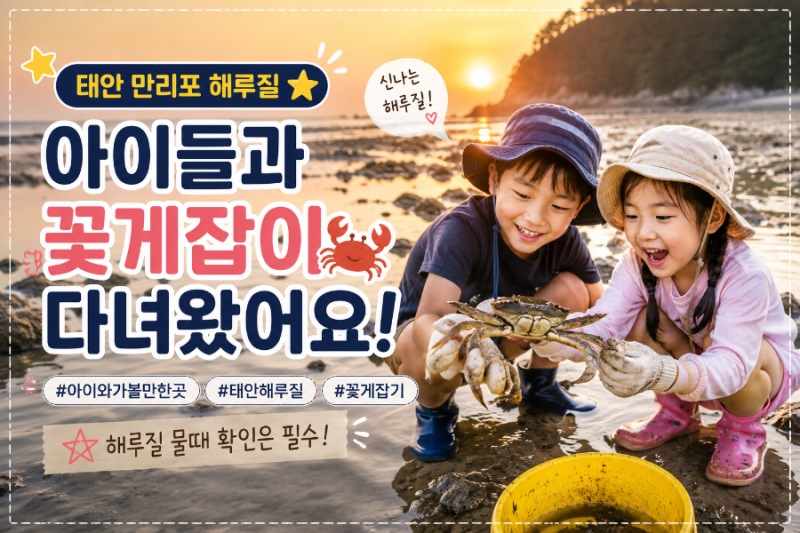 태안 만리포 해루질 물때 보는 법｜꽃게 잡으러 가기 좋은 시간은 언제?