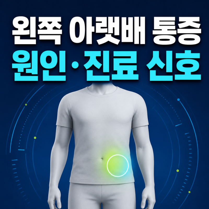 왼쪽 아랫배 통증 원인｜장·요로·여성질환 구분과 병원 갈 신호