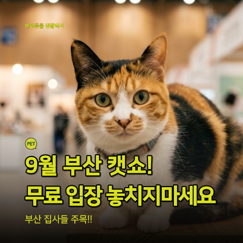 2026 부산캣쇼 일정·사전등록·입장료 총정리｜벡스코 고양이 박람회 가기 전 꼭 확인하세요