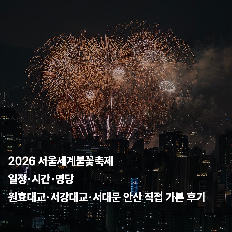 2026 서울세계불꽃축제 일정·시간·명당｜원효대교·서강대교·서대문 안산 직접 가본 후기