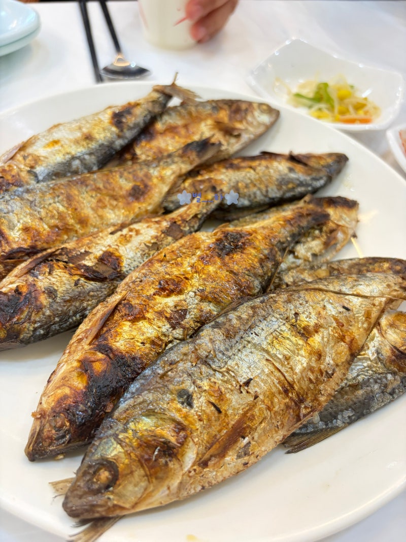 서천 전어축제 맛집 홍원항 섬덕회센타 점심 후기