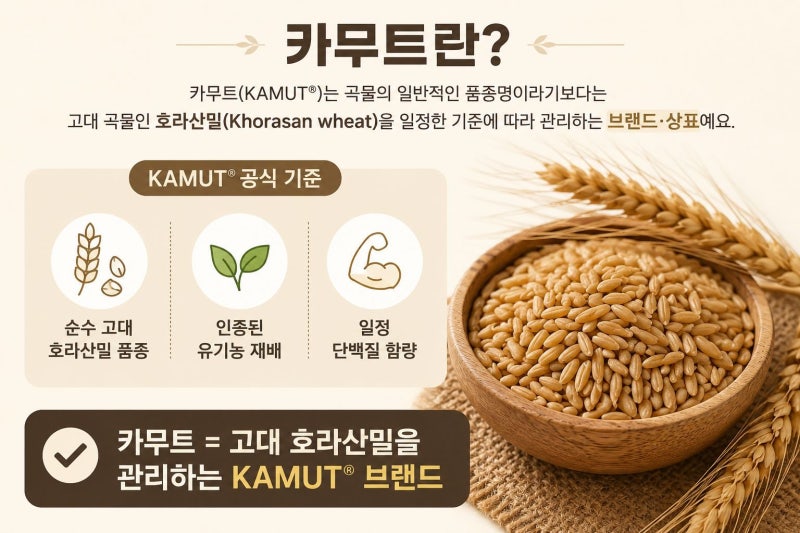 카무트 효소 효능 정말 좋을까? 먹는법,효소역가,부작용 한눈에 보기!