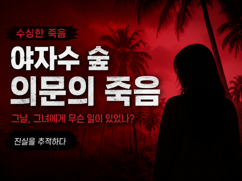 실종된 제주 장미란 씨 야자수농장에서 사체로 발견, 수많은 의문 남는 이유