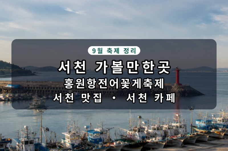 서천 가볼만한곳 홍원항전어꽃게축제 서천 맛집 서천 카페