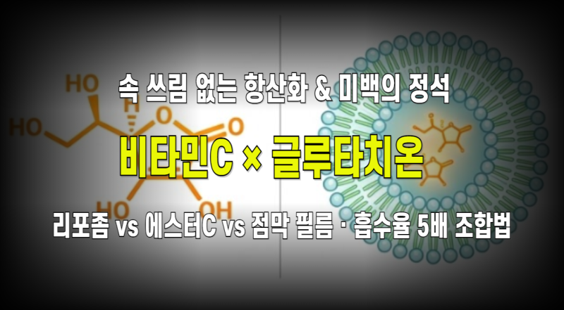 위장 장애 없는 비타민C 메가도스 & 글루타치온(리포좀·순수 필름) 미백·항산화 완벽 분석: ....