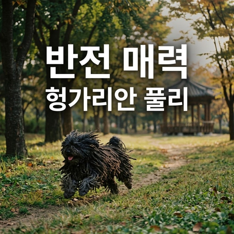 "이게 대걸레야 강아지야?" 헝가리안 풀리, 털 속에 숨겨진 의외의 정체..