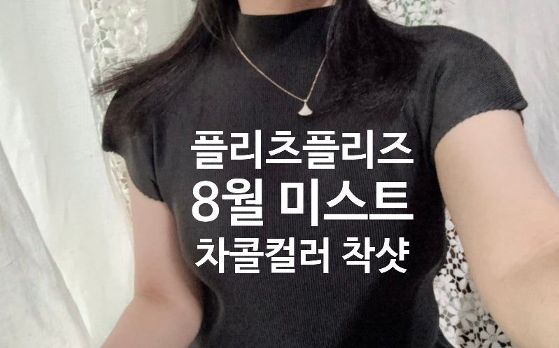 플리츠플리즈 8월 미스트 반목 차콜 착샷