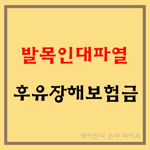 발목인대파열 전거비인대, 종비인대 후유장해보험금, 보험회사 판단기준│외측인대파열