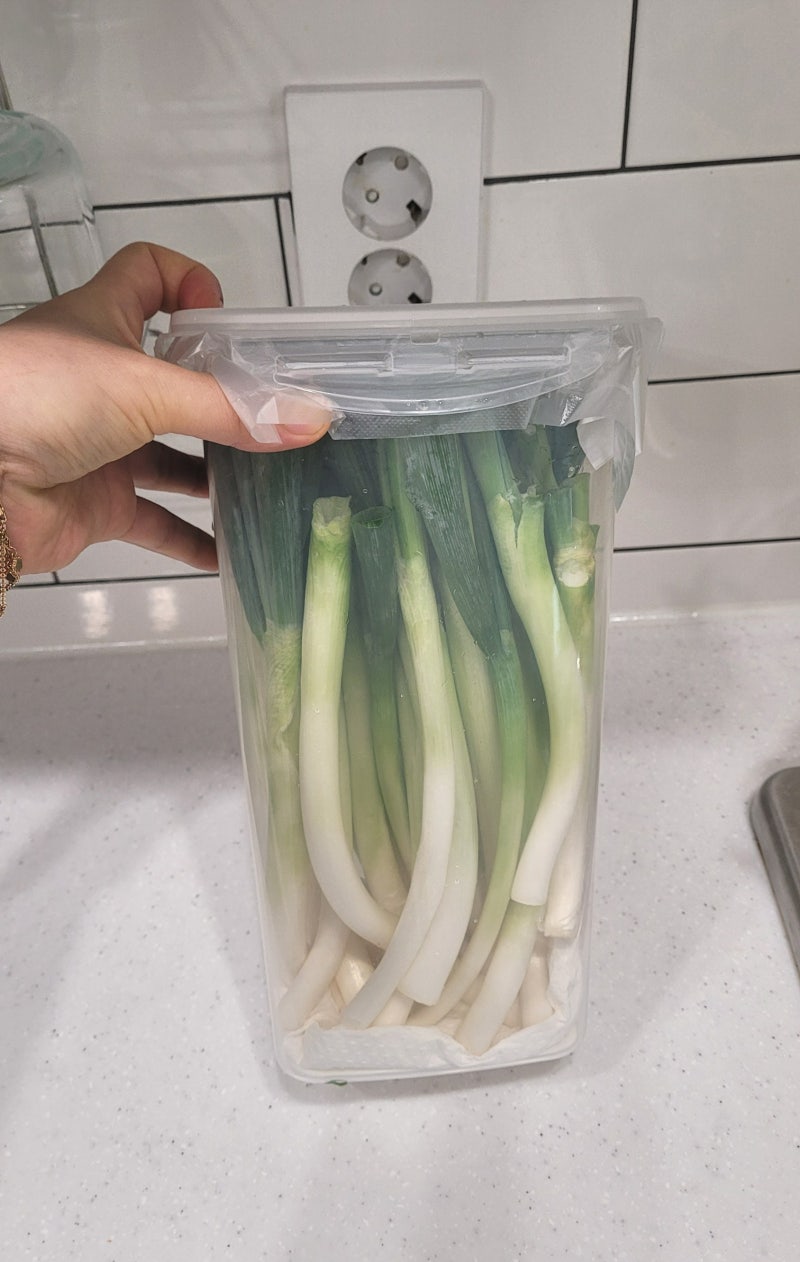 다이소 용기로 대파 냉장고에 신선하고 오래 보관하는 방법