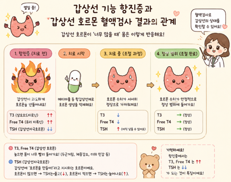 갑상선기능항진증 약과 저하증 약을 같이 먹는다구요? 잘못 처방된걸까요?