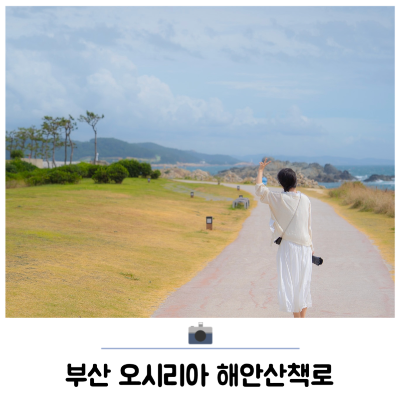 부산 기장 여행 갈만한곳 드라이브로 좋은 오시리아 해안산책로