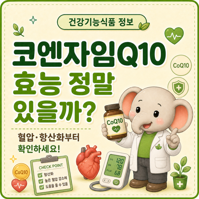 코엔자임Q10 효능 정말 있을까? 혈압, 항산화부터 확인하세요