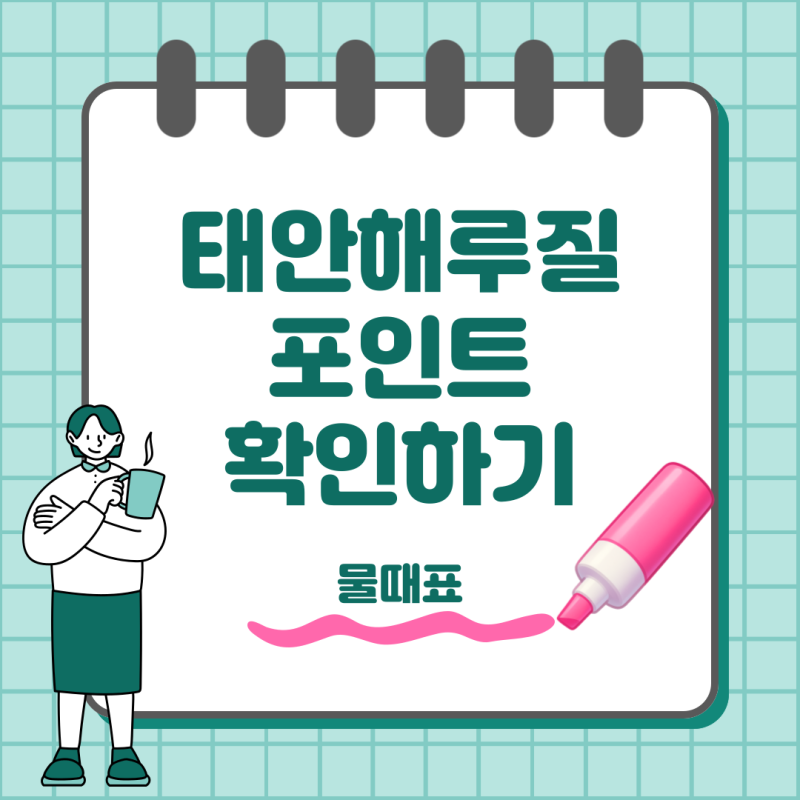 태안 해루질 어디가 좋을까 몽산포 청포대 물때와 포인트 정리