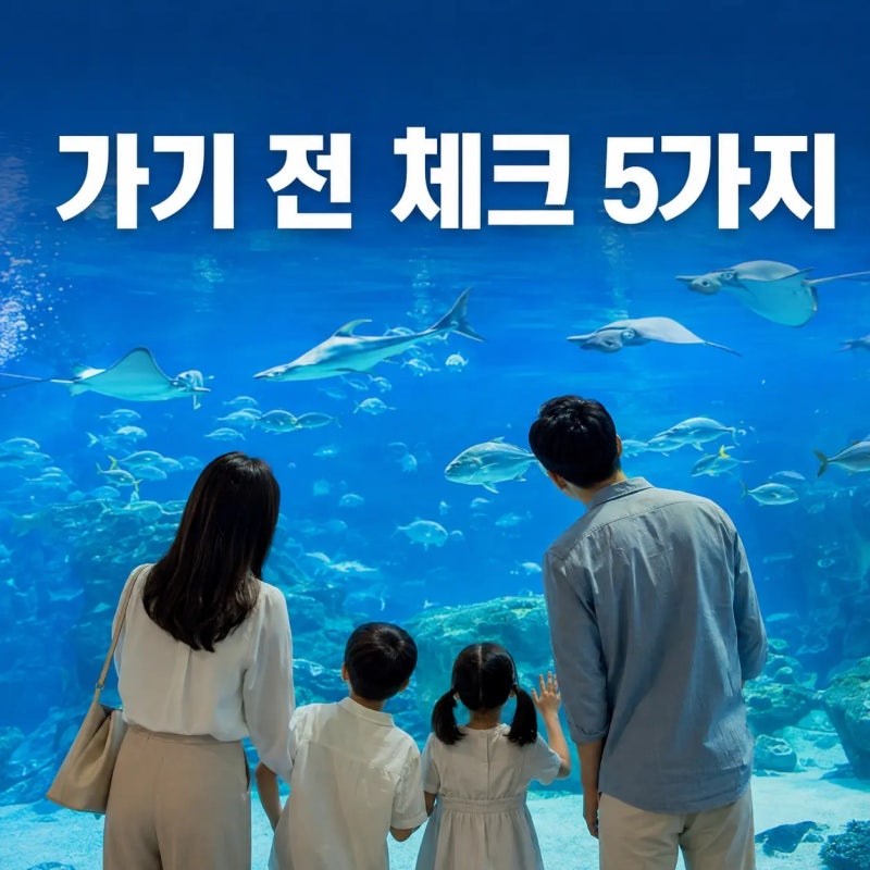 여수 아쿠아 플라넷 가기 전 꼭 확인할 5가지, 주차·요금·관람시간