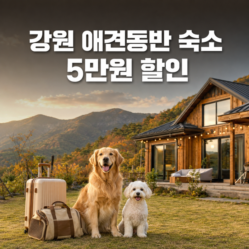 2026 강원도 애견동반 숙소 5만원 할인쿠폰 받는 법 (반려생활 앱 선착순 꿀팁)