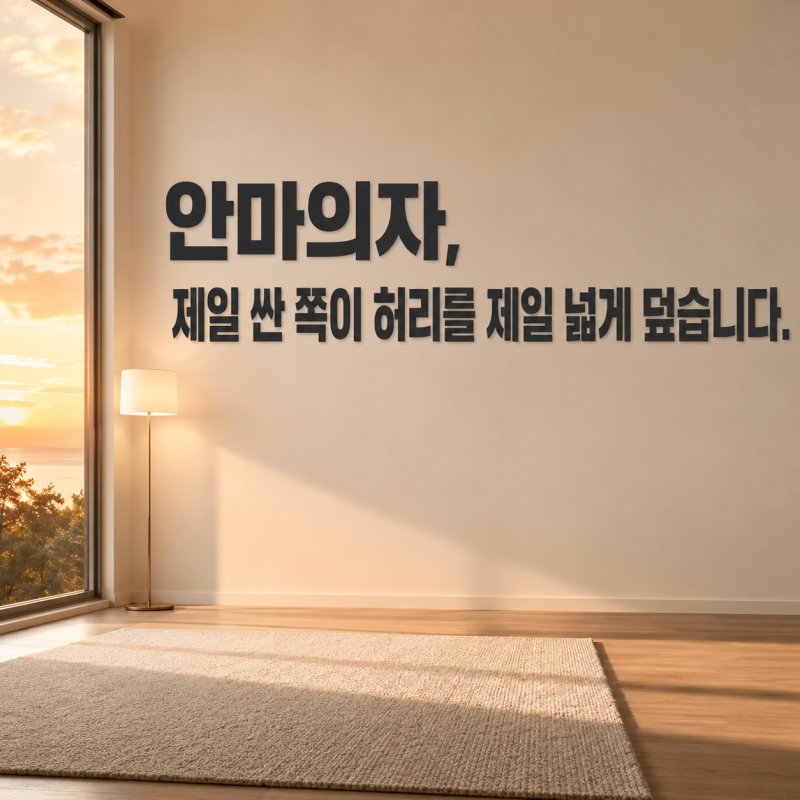 허리 안마의자는 제일 싼 쪽이 온열을 제일 넓게 덮습니다 — 안마의자 가성비 브랜드 4종을 ....