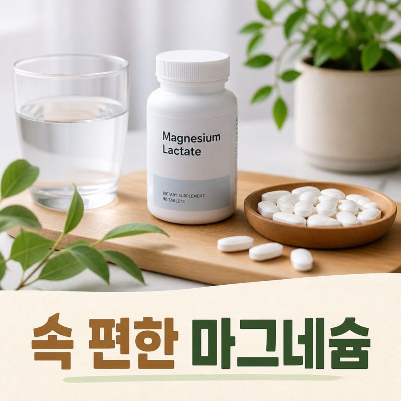 젖산마그네슘 효능? 다른 마그네슘과 차이부터 복용법까지