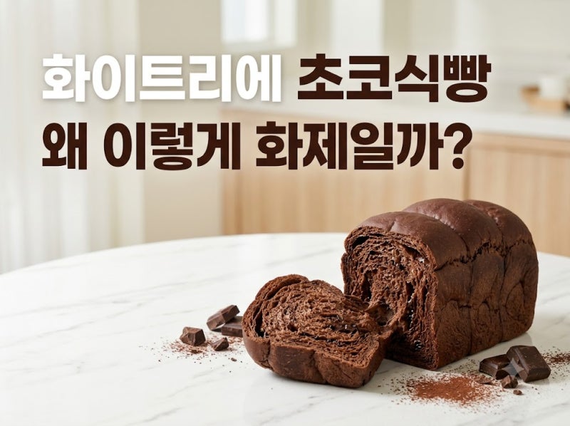 화이트리에 초코식빵이 화제인 이유｜가격·판매시간·예약·품절 정리