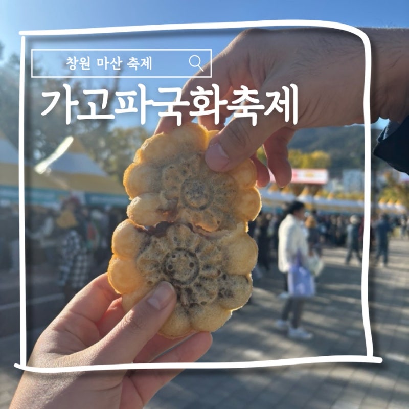 경남 마산 축제 추천 국화꽃이 너무 예쁜 2026년 가고파국화축제