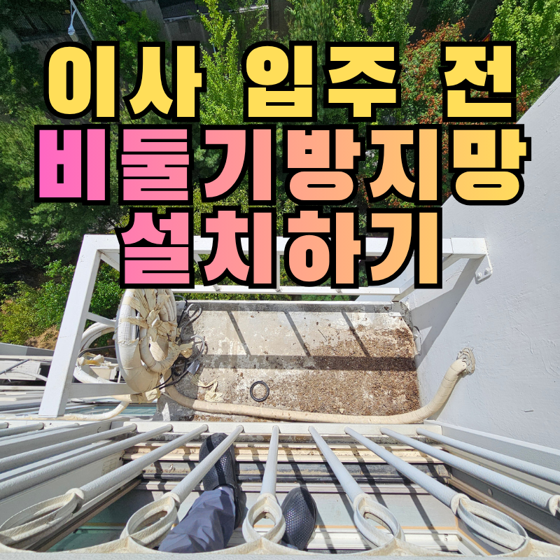 구미 비둘기퇴치망 설치, 이사 전 비둘기똥 청소 후 프레임 방지망 설치