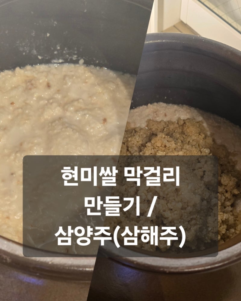 실패 없이 막걸리 만드는 방법 / 내 멋대로 삼양주 술빚기 현미 막걸리!! /자연탄산 막걸리를 ....
