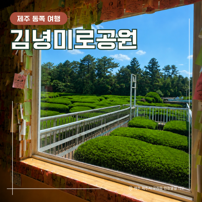 제주 김녕미로공원 아이와 가볼만한곳 입장료와 고양이 체험 후기