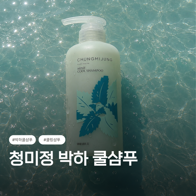 청미정 박하 쿨샴푸 l 여름철 떡짐 해결 박하쿨샴푸 두피 쿨링 케어 후기