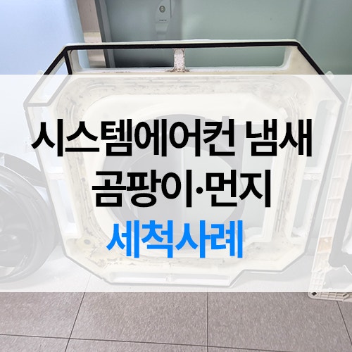 천장형 시스템에어컨 , 원인과 곰팡이 세척 방법 및 사례