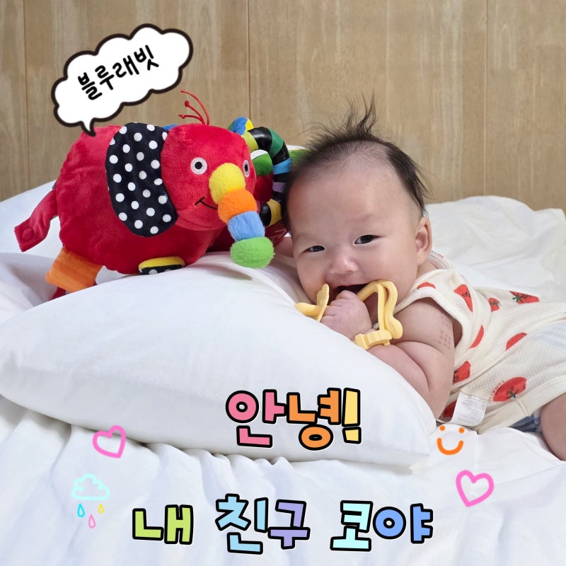 4개월 아기 촉감책 추천 블루래빗 안녕 내 친구 코야 헝겊책 후기 및 세탁법