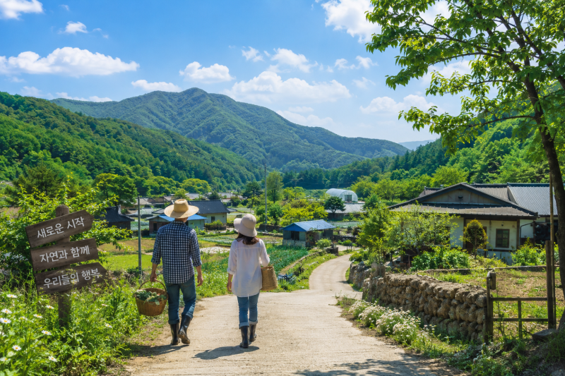 귀농하면 받을 수 있는 지원사업 총정리｜귀농창업자금부터 청년후계농까지