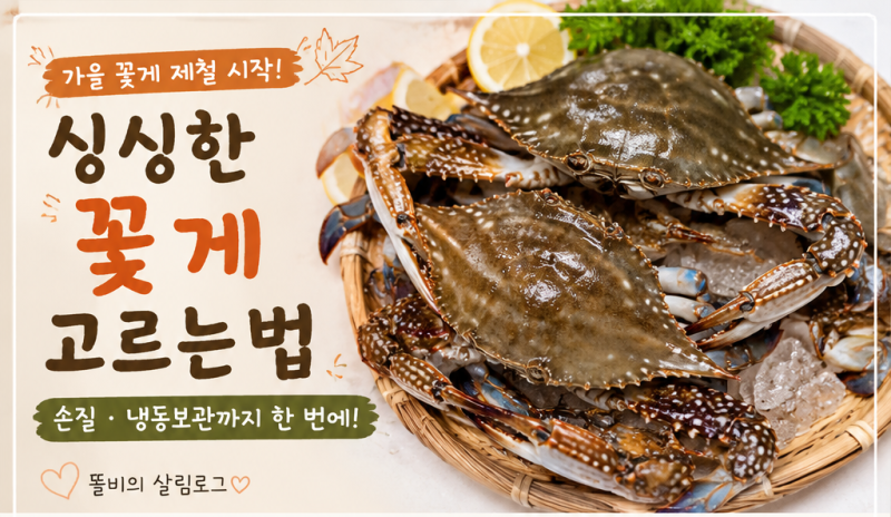 가을 꽃게 제철 시작! 싱싱한 꽃게 고르는법부터 손질법·냉동 보관법까지