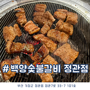 정관고기집 가성비 좋은 갈비 맛집 백양숯불갈비 정관점