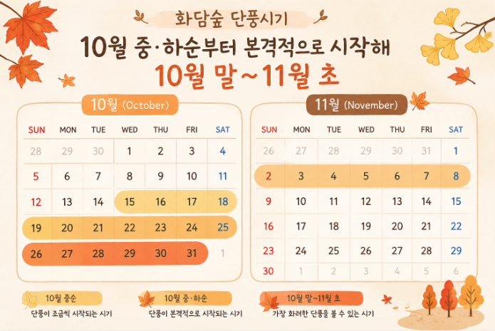 2026 화담숲 단풍시기 언제가 좋을까? 절정 예상시기부터 예약 팁까지