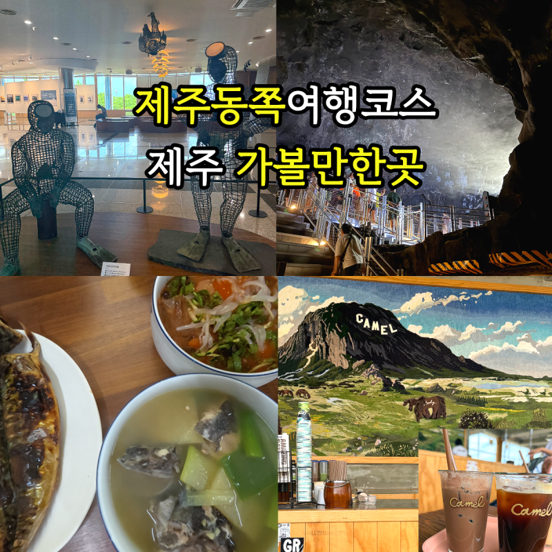 제주동쪽여행 코스 9월 10월 제주도 가볼만한곳 도민 추천 총정리