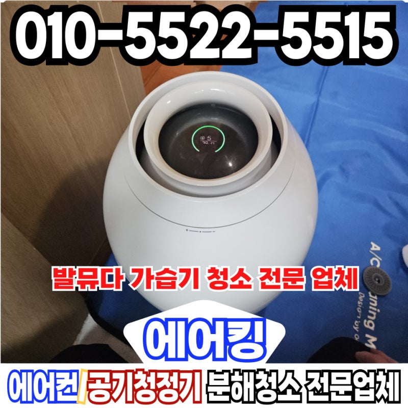 발뮤다 가습기 청소 내부 곰팡이 분해 세척 비용